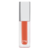 2aN Lip Magnet #06